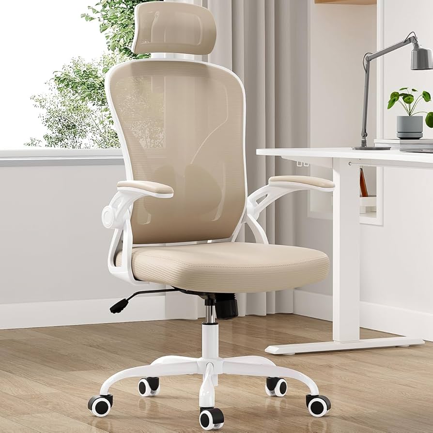 Ergonomic Desk Chair